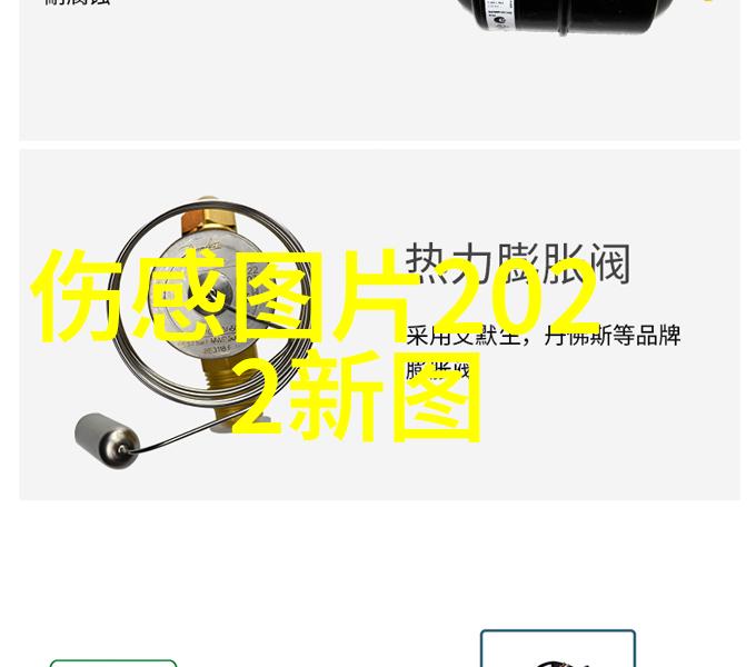 金信子掀唱片改革 金海心首创环保专辑爱似水仙