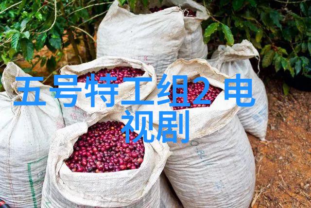 最近都在谈论张珊珊